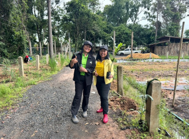 วันที่ 24 กันยายน 2567 “สหกรณ์อาสา ปลูกป่าเฉลิมพระเกียรติ” ... พารามิเตอร์รูปภาพ 5